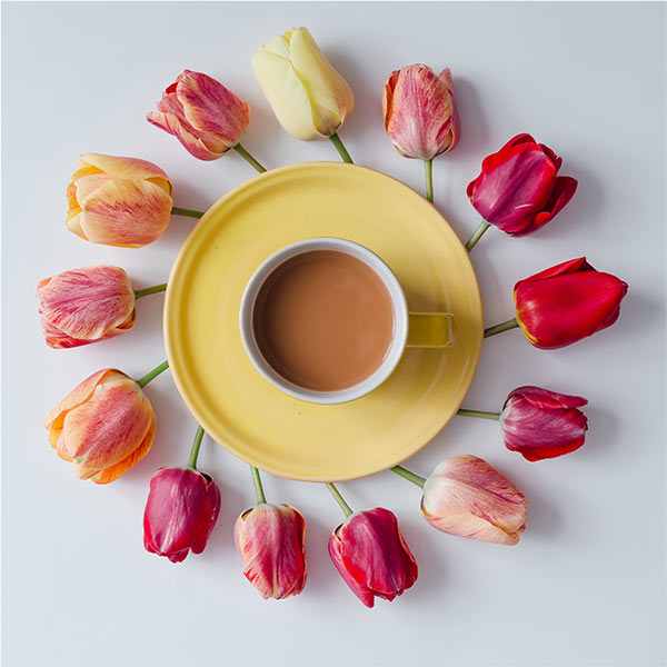 tea-home-gallery6
